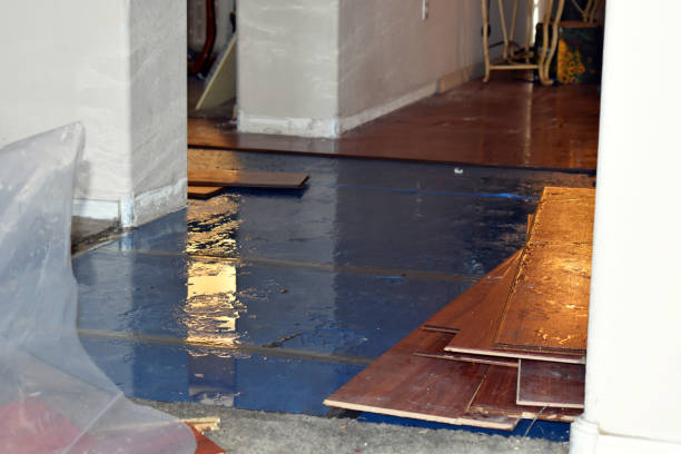 Professional Water Extraction technician working in Auburndale, WI